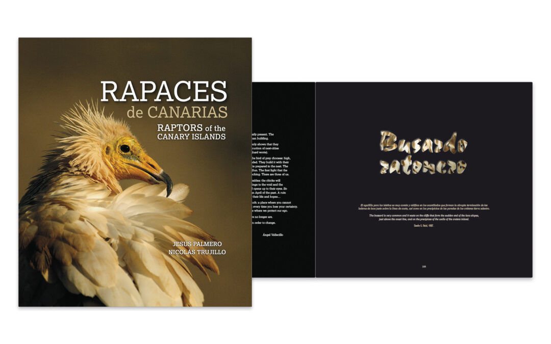 Aves Rapaces de Canarias