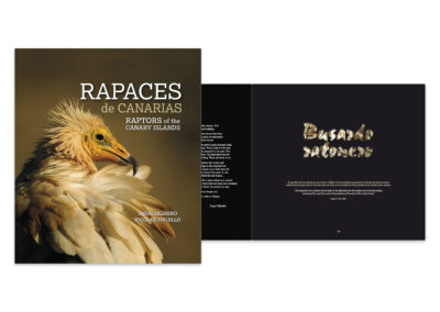 Aves Rapaces de Canarias