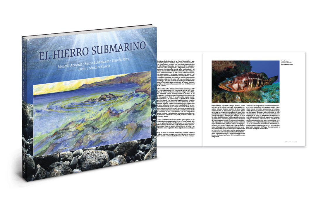 El Hierro Submarino