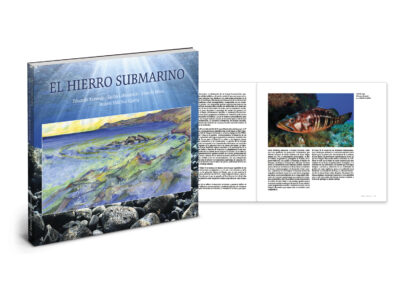El Hierro Submarino