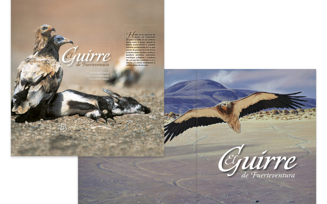 El Guirre de Fuerteventura