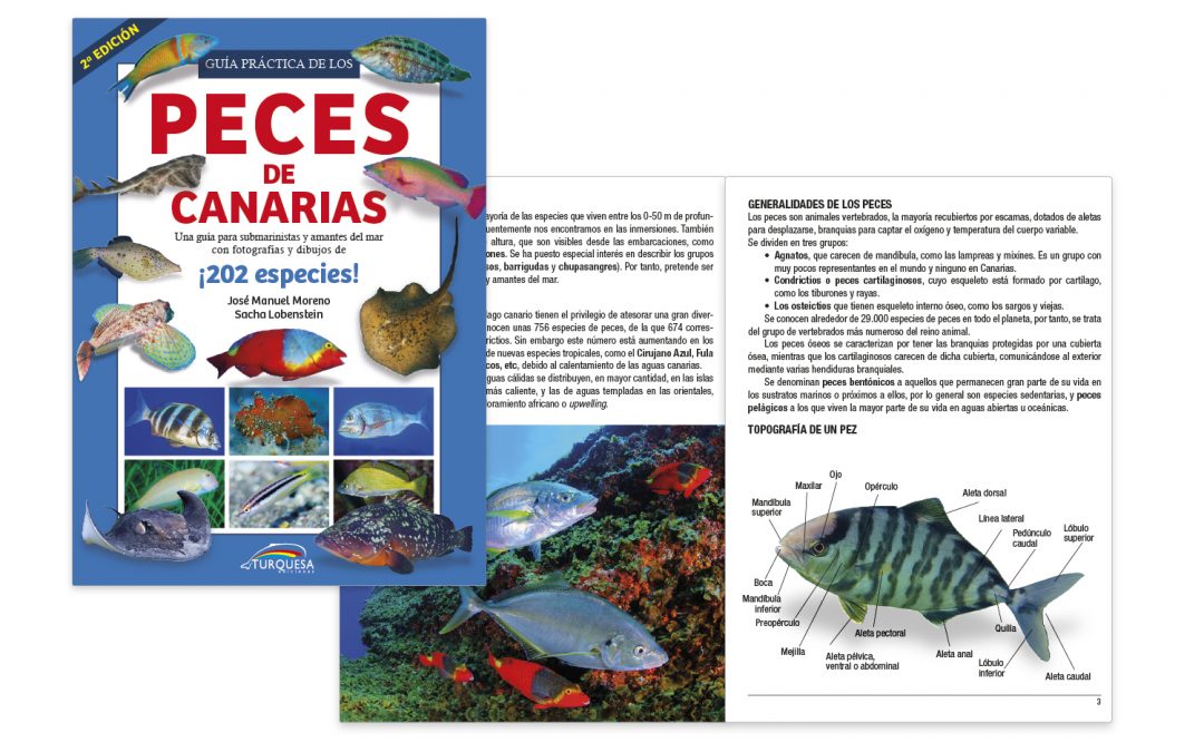 Guía práctica de los Peces de Canarias
