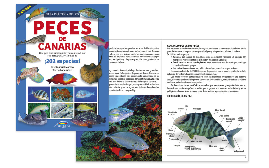 Guía práctica de los Peces de Canarias