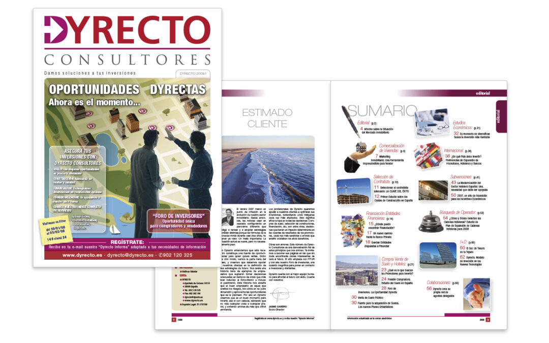 Boletín Informativo Dyrecto 2008
