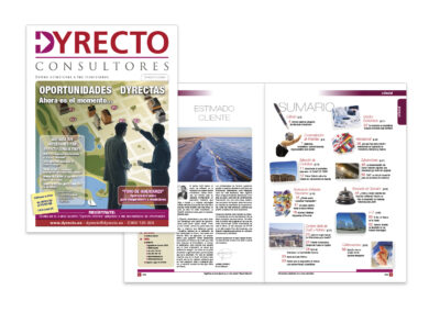 Boletín Informativo Dyrecto 2008