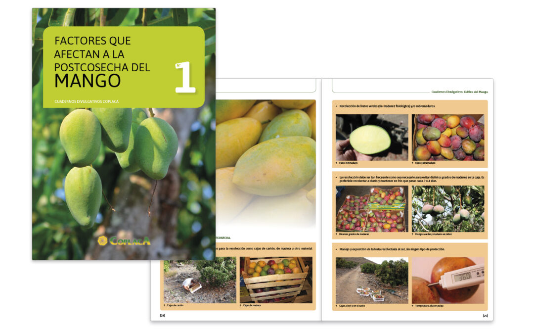 Cuaderno Divulgativo Coplaca Mango Nº 1