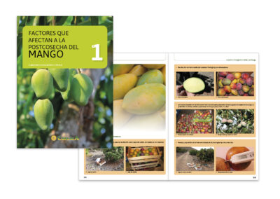 Cuaderno Divulgativo Coplaca Mango Nº 1