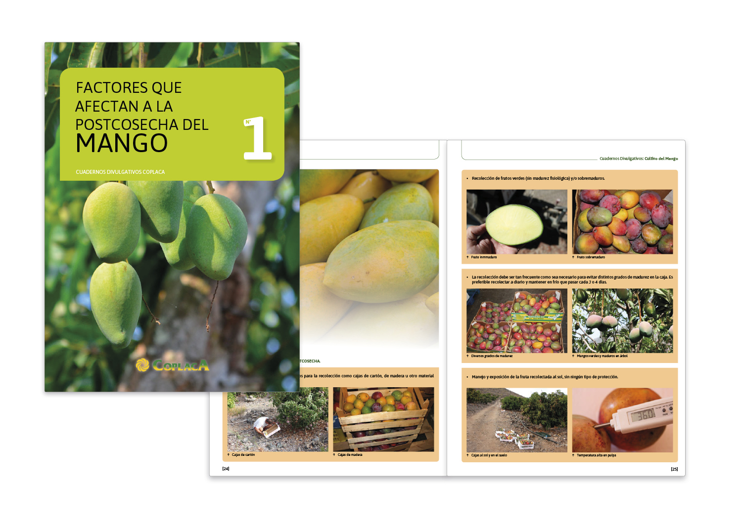 Cuaderno Divulgativo Coplaca Mango 1